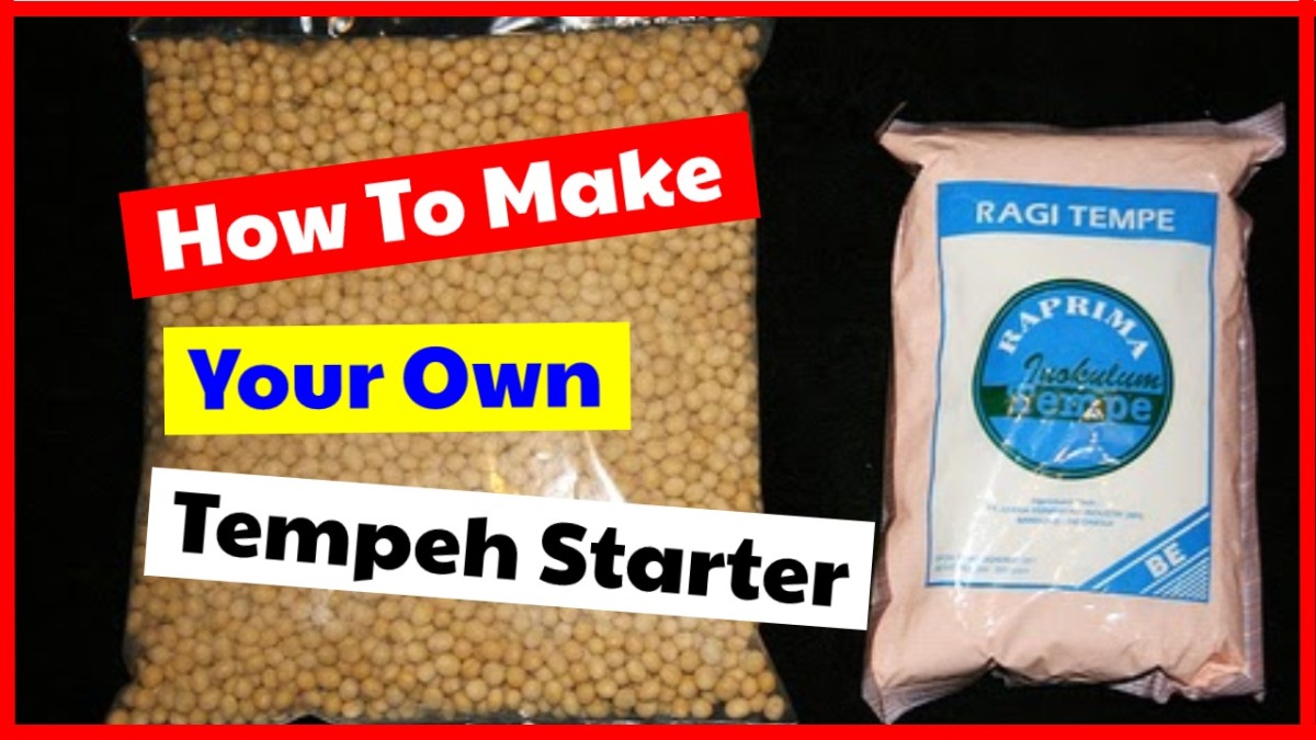 Discover The Easy Way How To Make Your Own Tempeh Starter