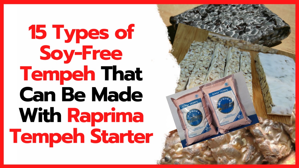 15 Types of Soy-Free Tempeh That Can Be Made With Raprima Tempeh Starter
